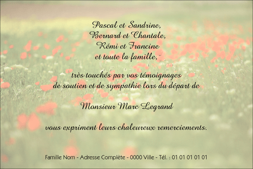 Personnaliser et commander "Les coquelicots"