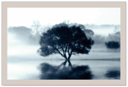 Personnaliser et commander faire part 100x150 mm R/V "L'Arbre"